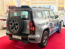 جیتۆر T2